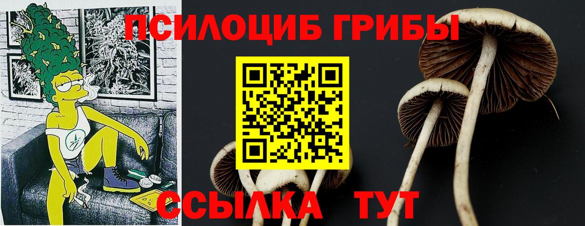 Галлюциногенные грибы MAGIC MUSHROOMS Белореченск
